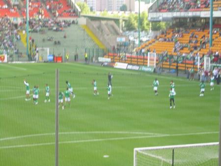 les verts